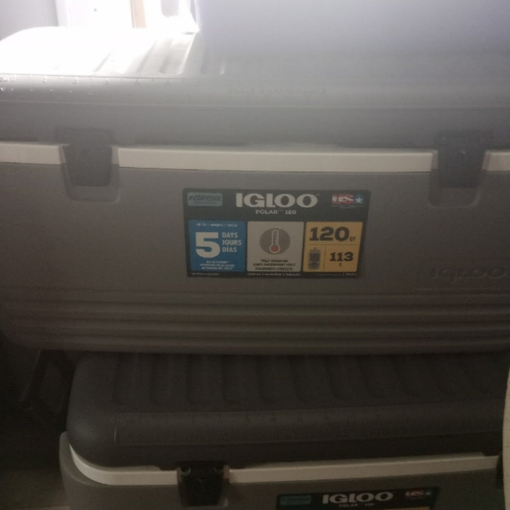 Coleman coolers white and dark bule then I have a few igloo coolers brand new